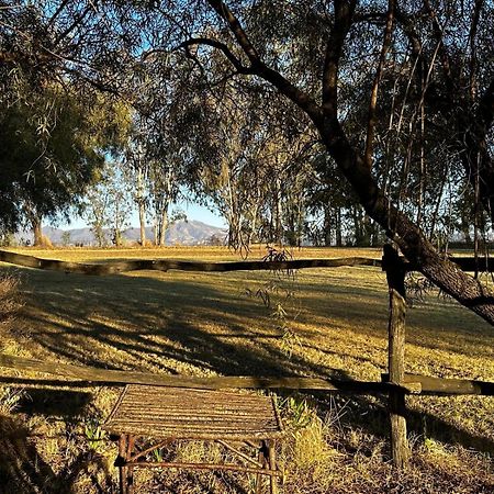 Rusplaas Guest Farm Fouriesburg Exterior foto